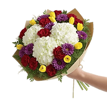 Serene Petal Harmony