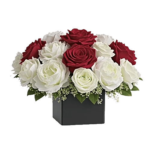 Crimson Rose Elegance