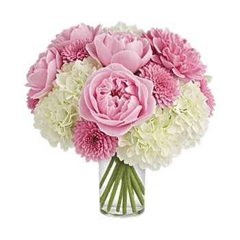 Petal Radiance Bliss