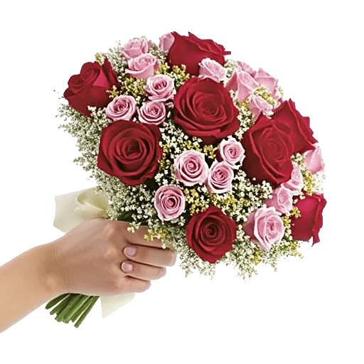 Crimson Rose Elegance