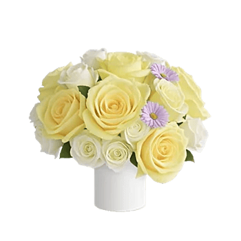 Ivory Blossom Radiance