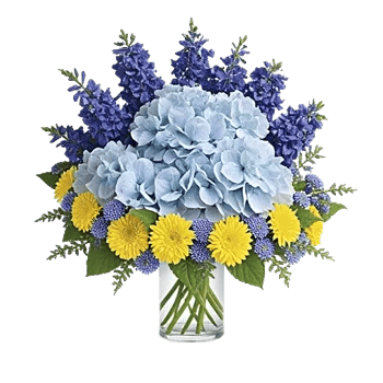 Azure Sky Blooms