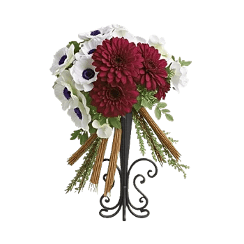 Elegant Calla Lilies