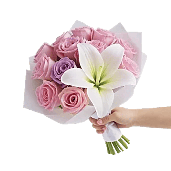 Blossom Harmony Display