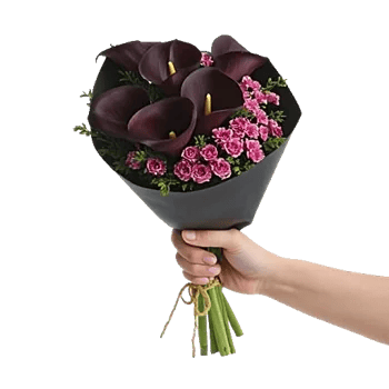 Elegant Calla Lilies