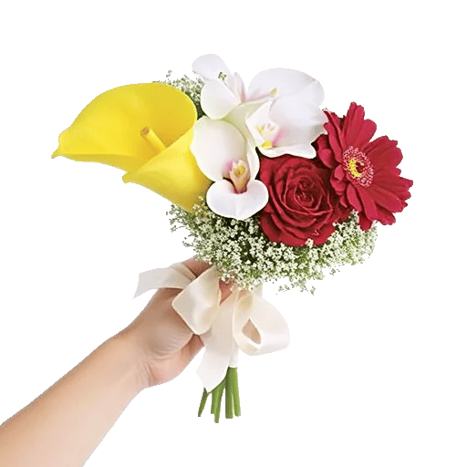 Elegant Calla Lilies