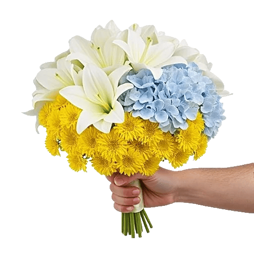 Ivory Blossom Radiance