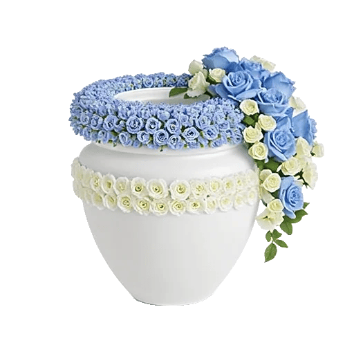 Elegant Blue Roses
