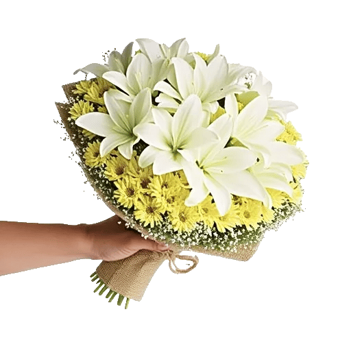 Ivory Garden Grace