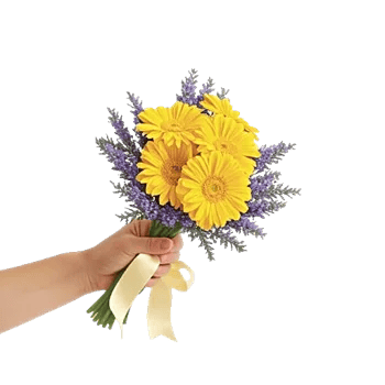 Blossom Harmony Display