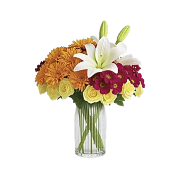 Petal Radiance Bliss