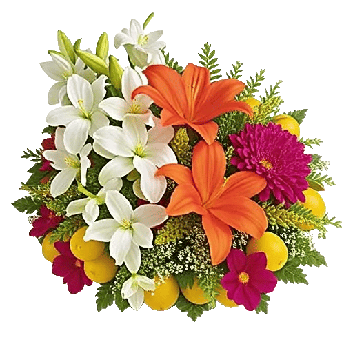 Modern White Orchids