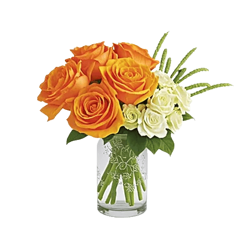 Radiant Rose Symphony
