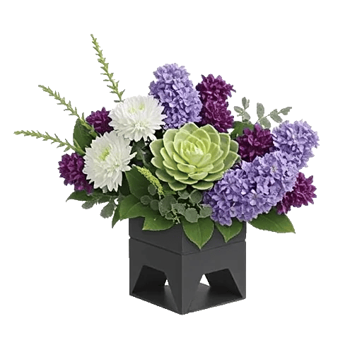 Modern White Orchids