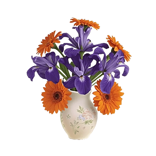 Ivory Blossom Radiance