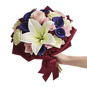 Elegant Calla Lilies