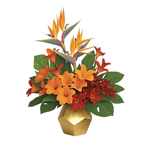Tropical Sunflower Burst