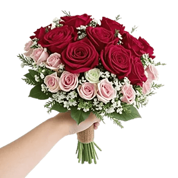 Crimson Rose Elegance