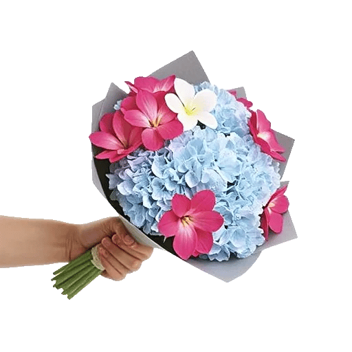 Serene Petal Harmony