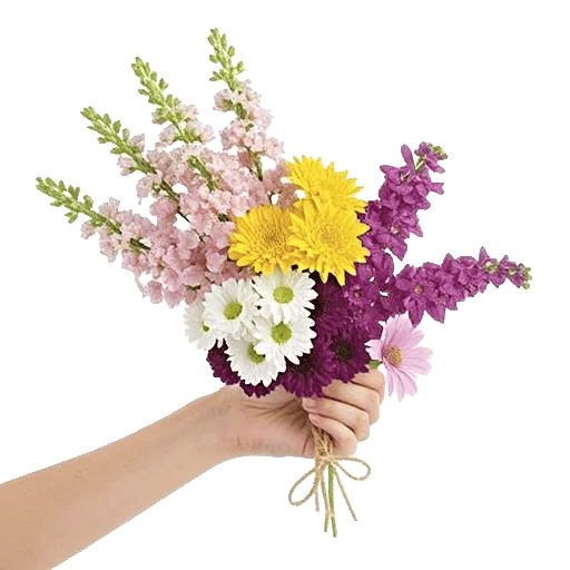 Blossom Harmony Display