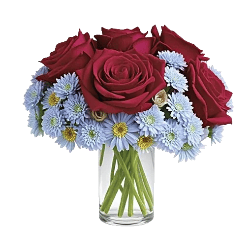 Crimson Rose Elegance