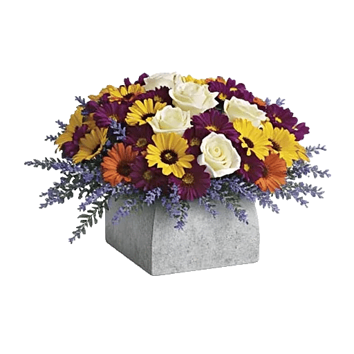 Delicate Petal Cascade