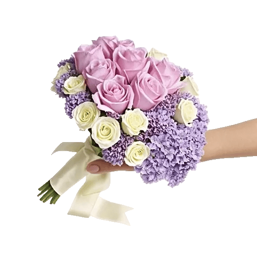 Pastel Pink Roses