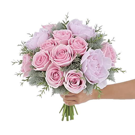 Pastel Pink Roses