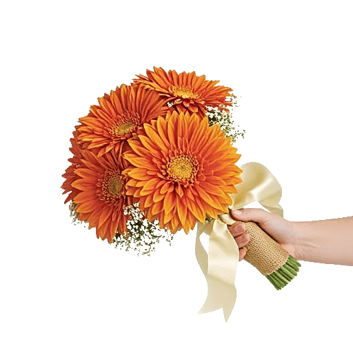 Radiant Bloom Cascade