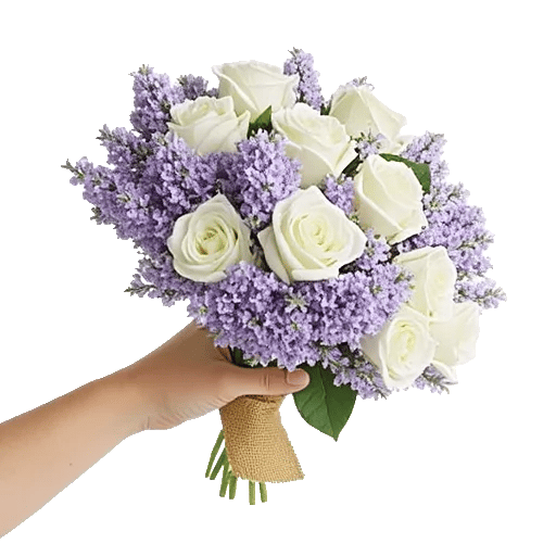 Blushing Rose Symphony