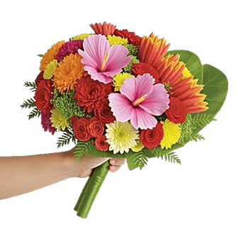 Petal Harmony Bliss