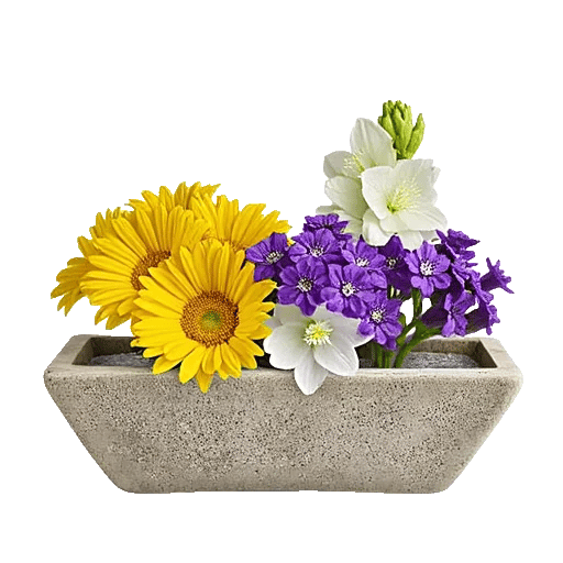 Delicate Petal Cascade