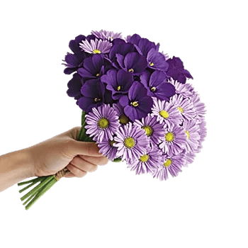 Lavender Bloom Grace