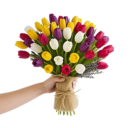 Velvet Tulip Display