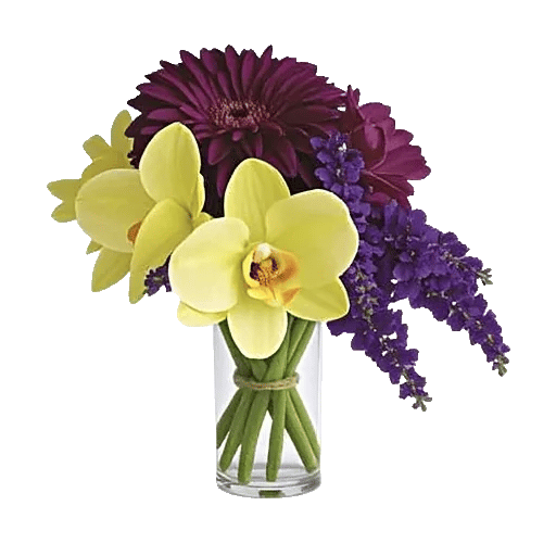 Orchid Petal Glow