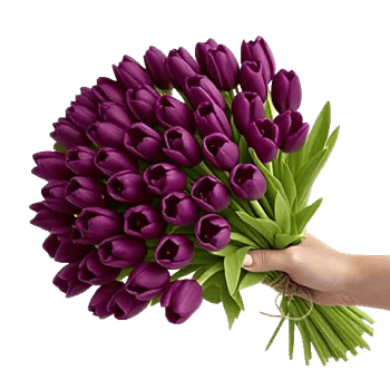 Velvet Tulip Display