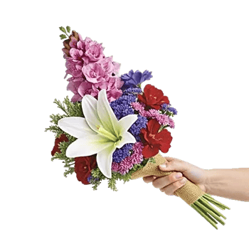 Blossom Harmony Display