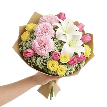 Pastel Pink Roses