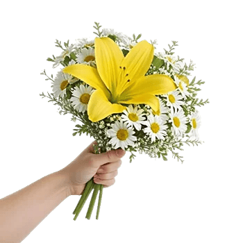 Blossom Harmony Display