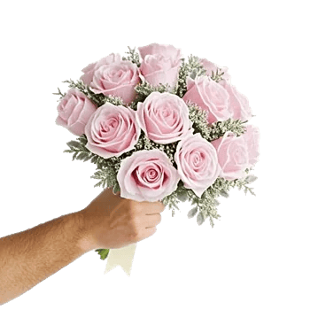 Pastel Pink Roses