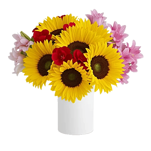 Radiant Bloom Cascade