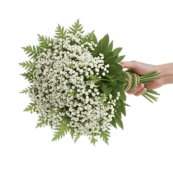 Delicate Petal Cascade