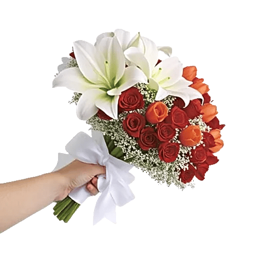 Blushing Rose Symphony