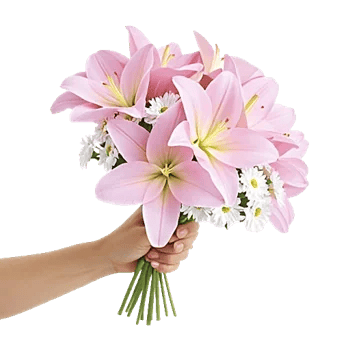 Blossom Harmony Display