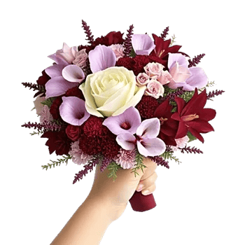 Elegant Calla Lilies