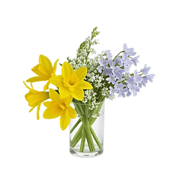 Ivory Blossom Radiance