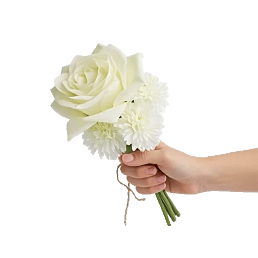 Delicate Petal Cascade