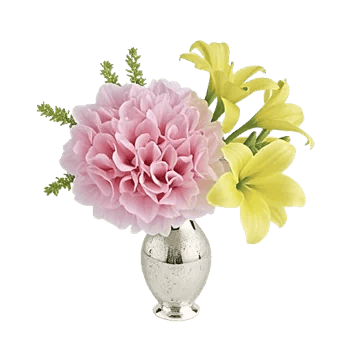 Ivory Blossom Radiance