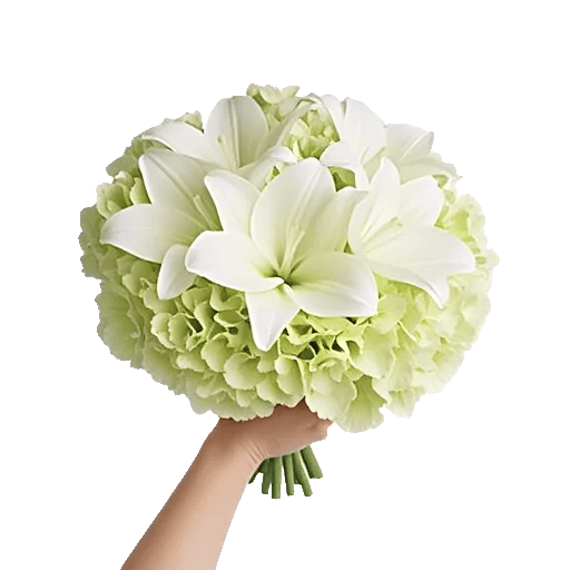 Ivory Blossom Radiance