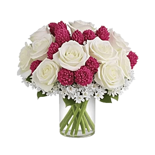 Ivory Blossom Radiance